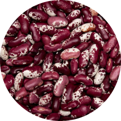 Variegated beans